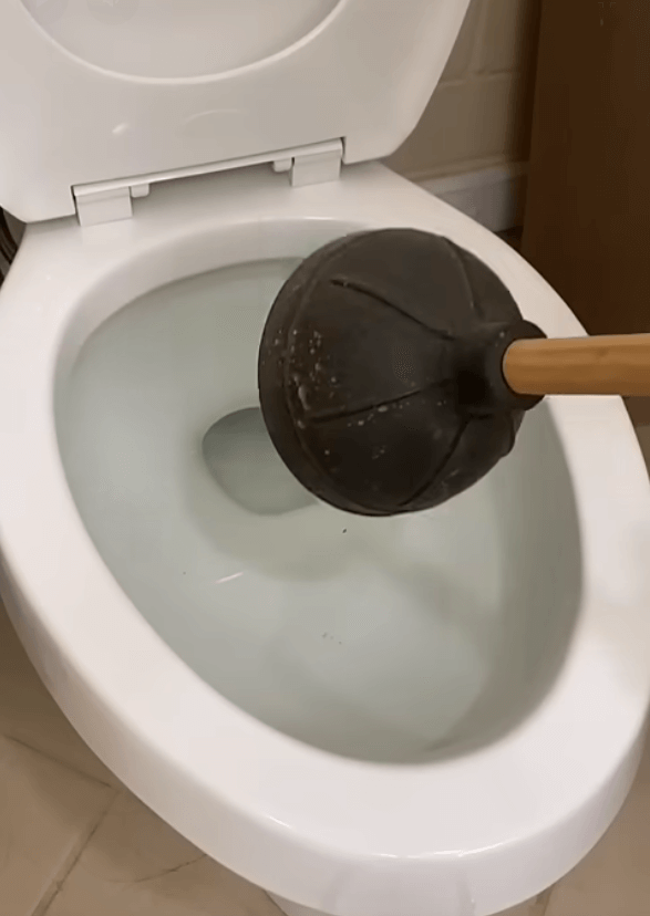 Toilet unclog Memphis TN
